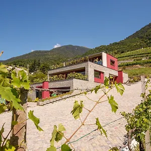 Nebbiolo Wine , Castione Andevenno Italië